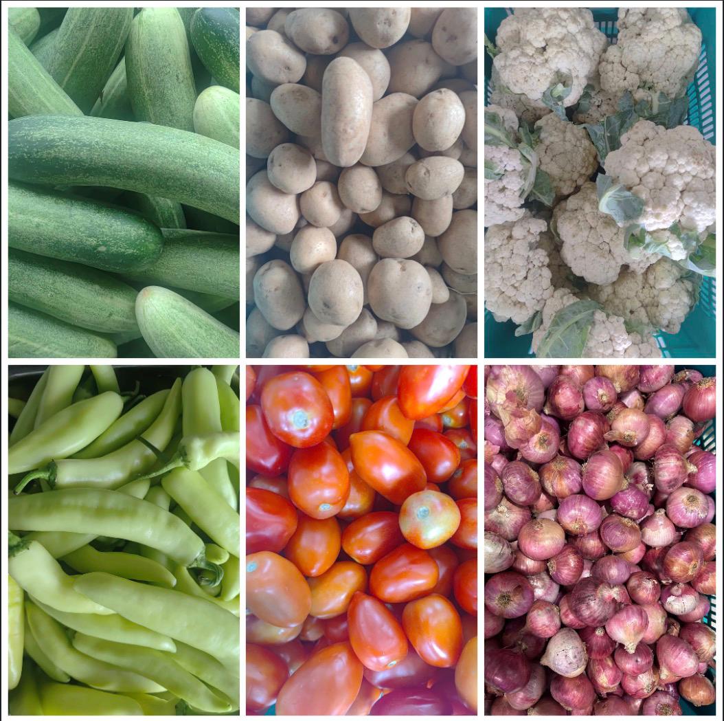 Vegetable sorting